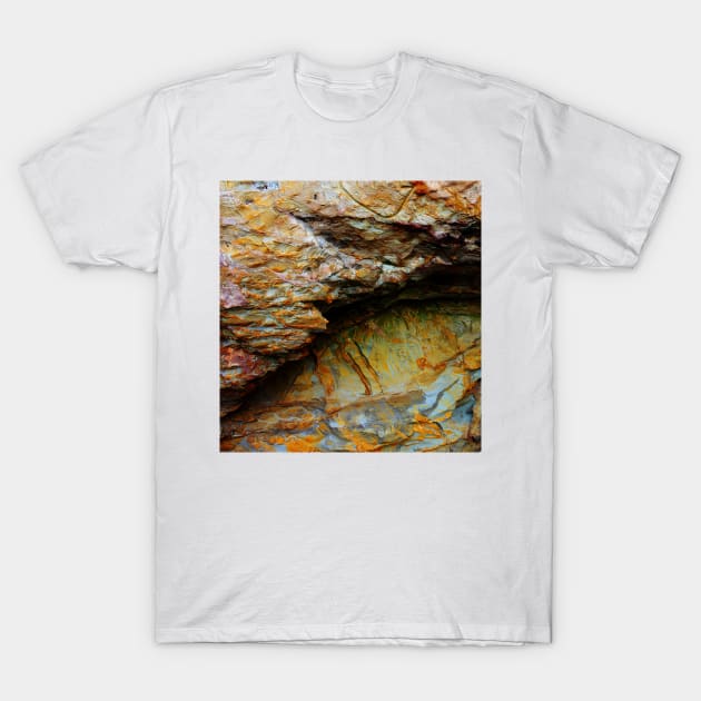 Geology Rocks. Panther Beach, Highway I, California T-Shirt by IgorPozdnyakov